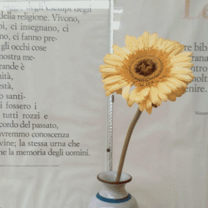 Un fiore gialloarancio – In ricordo di Giovanni Raffaele.